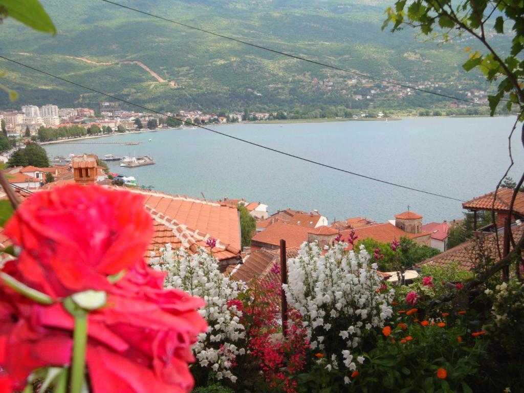 Apartments Villa Saraj Ohrid Esterno foto
