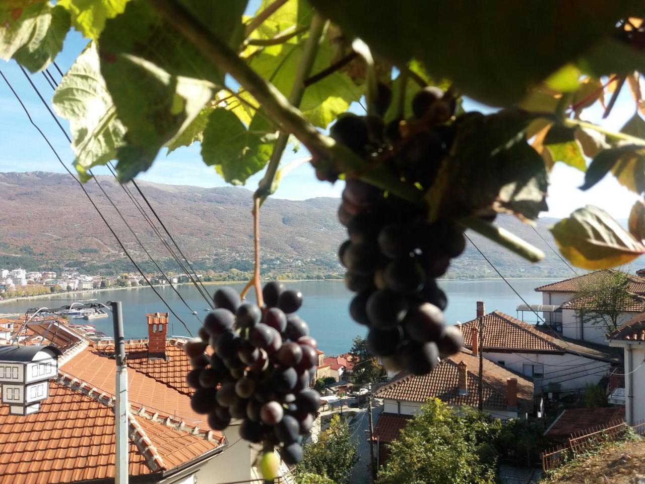 Apartments Villa Saraj Ohrid Esterno foto